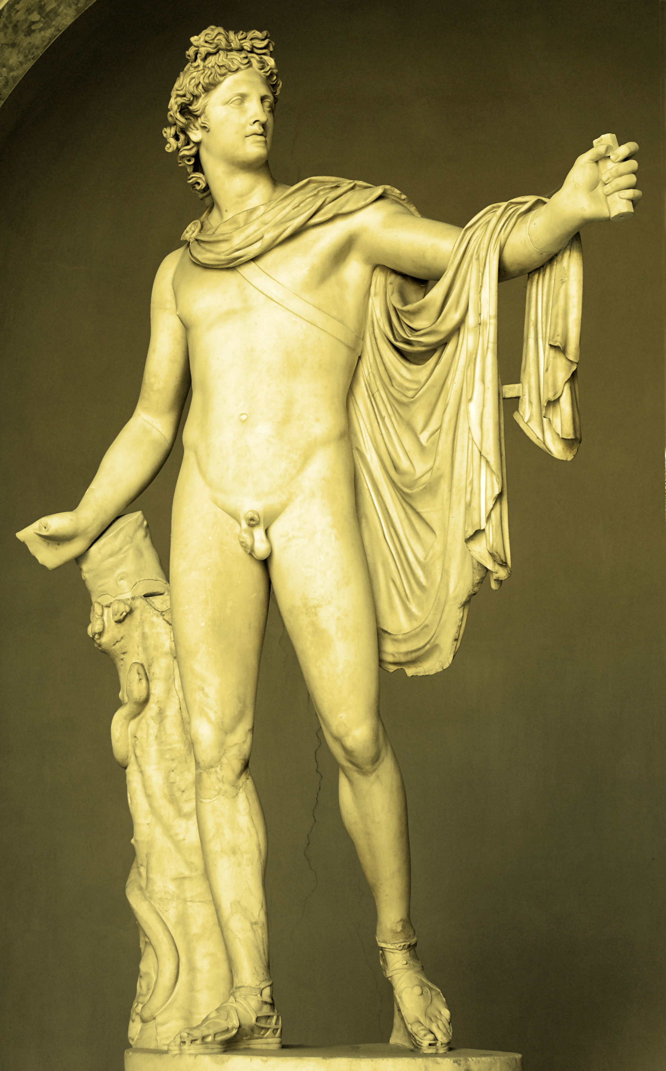 Belvedere Apollo. Marble, Roman copy